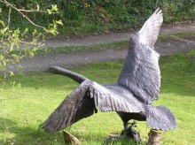 Swan 2
