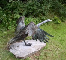 Swan 3